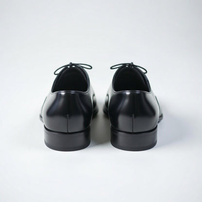 Pair of black dress shoes on a white background